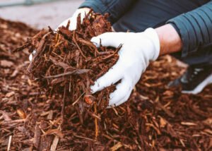 How to Get the Mulch You Need for Your Chicago Garden