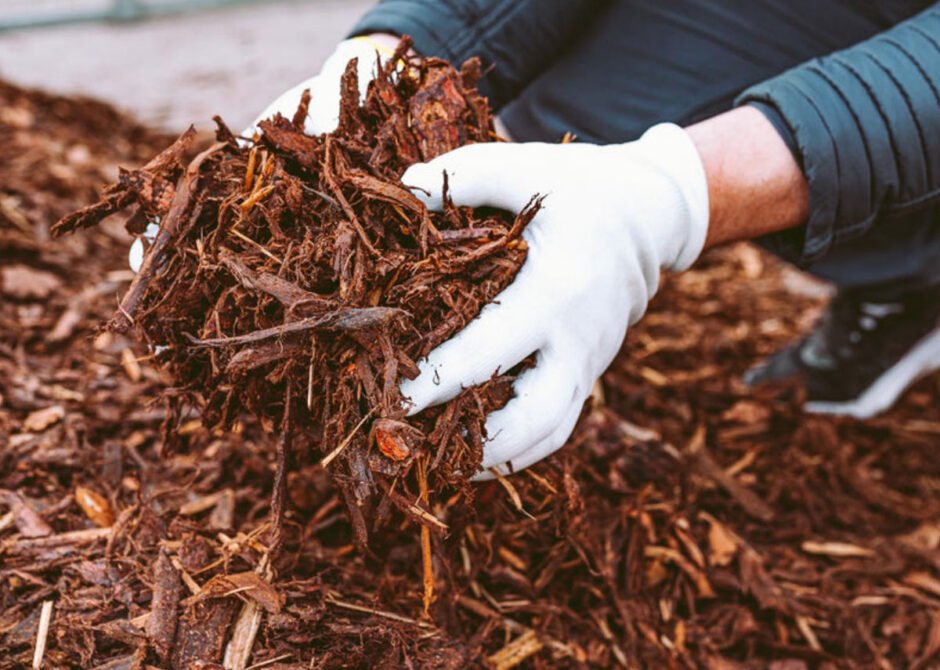 How to Get the Mulch You Need for Your Chicago Garden