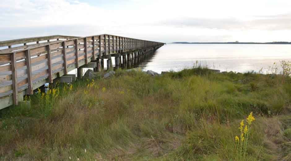 The-Smart-Traveler’s-Guide-to-Comfortable-and-Reliable-Coastal-Stays