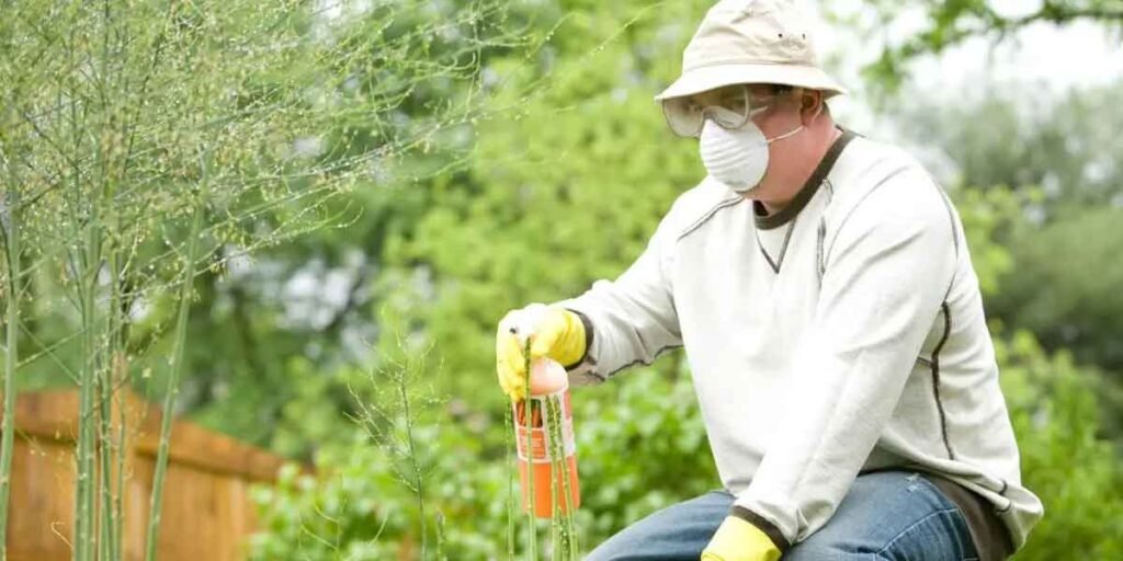 Top-Pest-Prevention-Secrets-for-a-Healthier-Home-Life