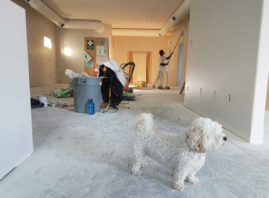 Expert-Approved Renovation Hacks for Modern Homes on a Budget