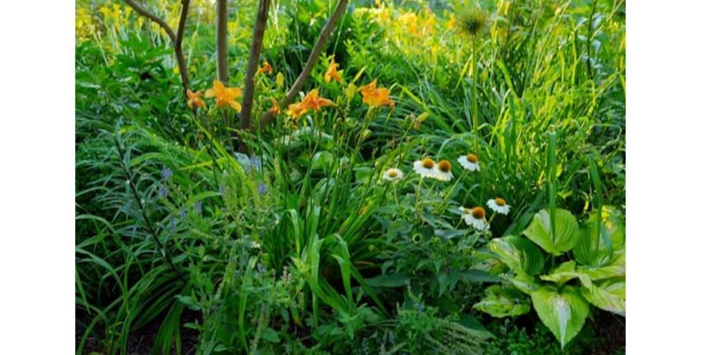 From the Garden to the Bedroom: How Growing Things Changed the Way I Think About Comfort