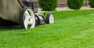 How Spring Lawn Care Improves Year-Round Lawn Health