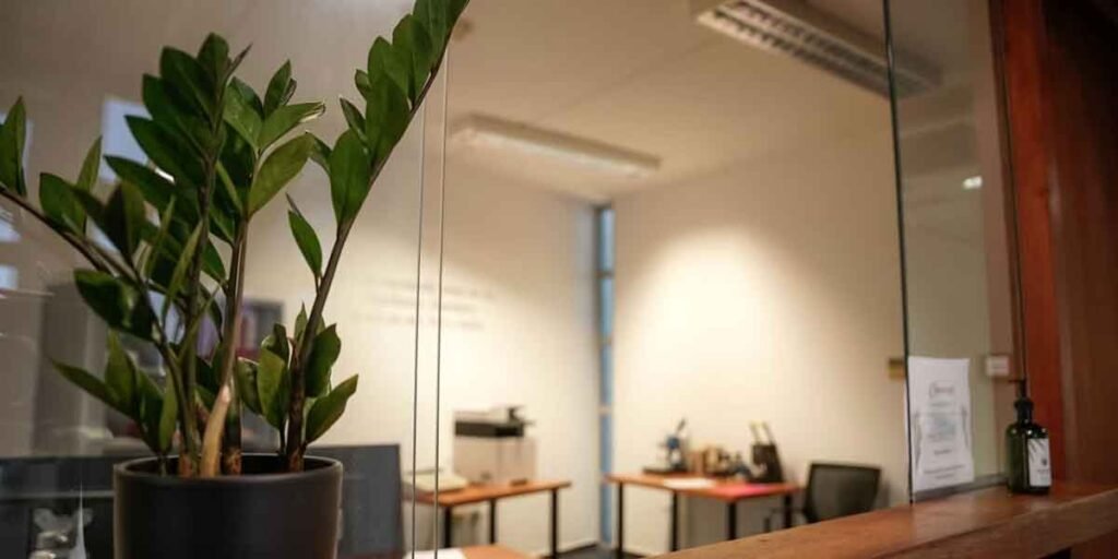 How to Have a Nature-Inspired Design for Your Office