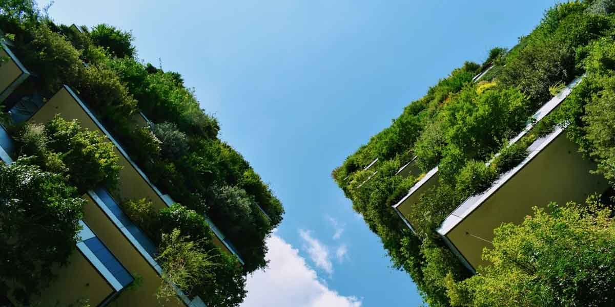 Relocating to a More Sustainable Office: A Step-by-Step Guide