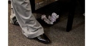 Sustainable Business Travel: Navigating The 2026 Mileage Rate Changes