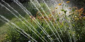 The-Homeowner-s-Guide-to-Reducing-Water-Waste-Through-Better-Plumbing-Habits