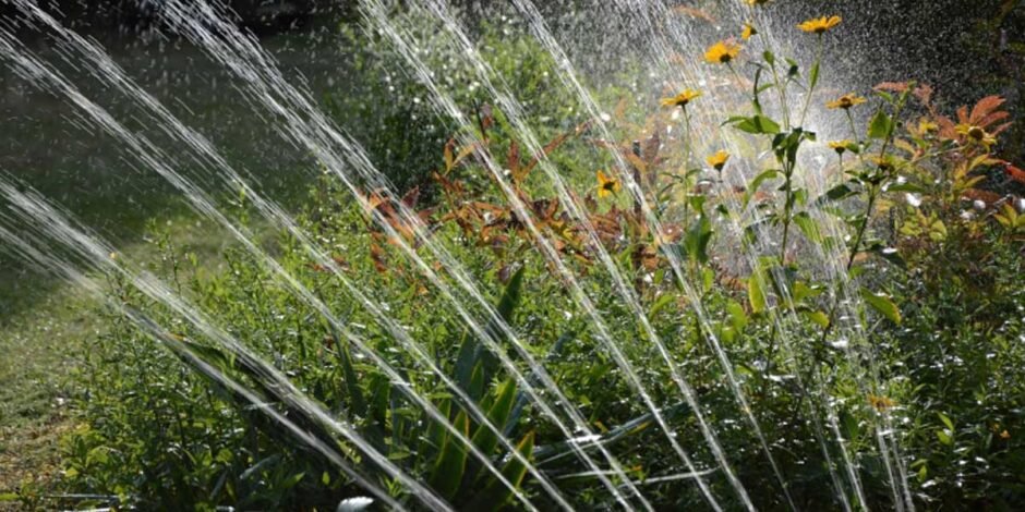 The-Homeowner-s-Guide-to-Reducing-Water-Waste-Through-Better-Plumbing-Habits