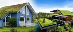 When Your Roof Becomes Part of Your Sustainability Plan: Real Talk About Eco-Friendly Roofing Choices