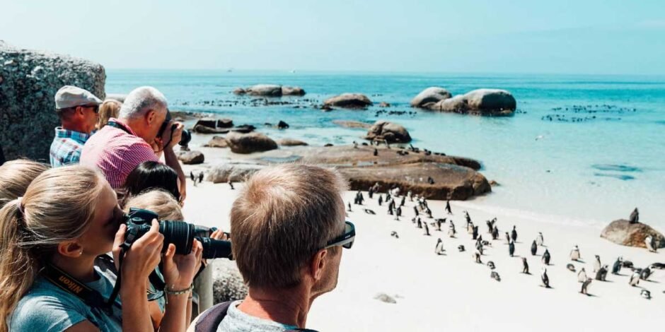 Why a Gap Year Is One of the Best Investments You Can Make in Yourself