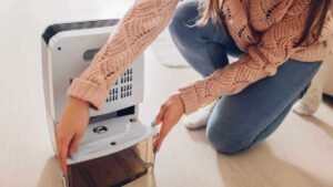 Can Dehumidifiers Help Prevent Dust Mites? Science Explained