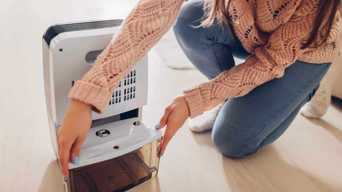 Can Dehumidifiers Help Prevent Dust Mites? Science Explained