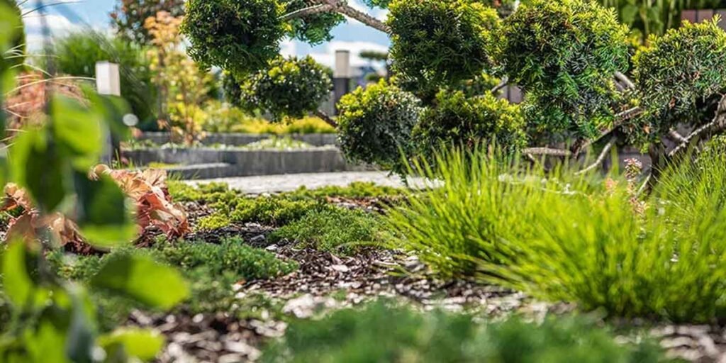 How-to-Create-an-Eco-Friendly-Garden-That-Blends-Beauty-with-Sustainability