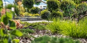 How-to-Create-an-Eco-Friendly-Garden-That-Blends-Beauty-with-Sustainability