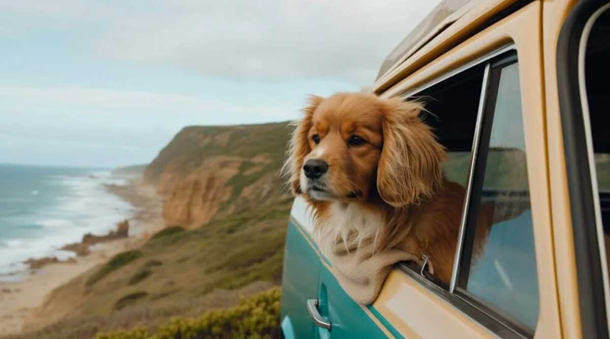 How to Plan an Eco-Friendly Road Trip With Your Dog