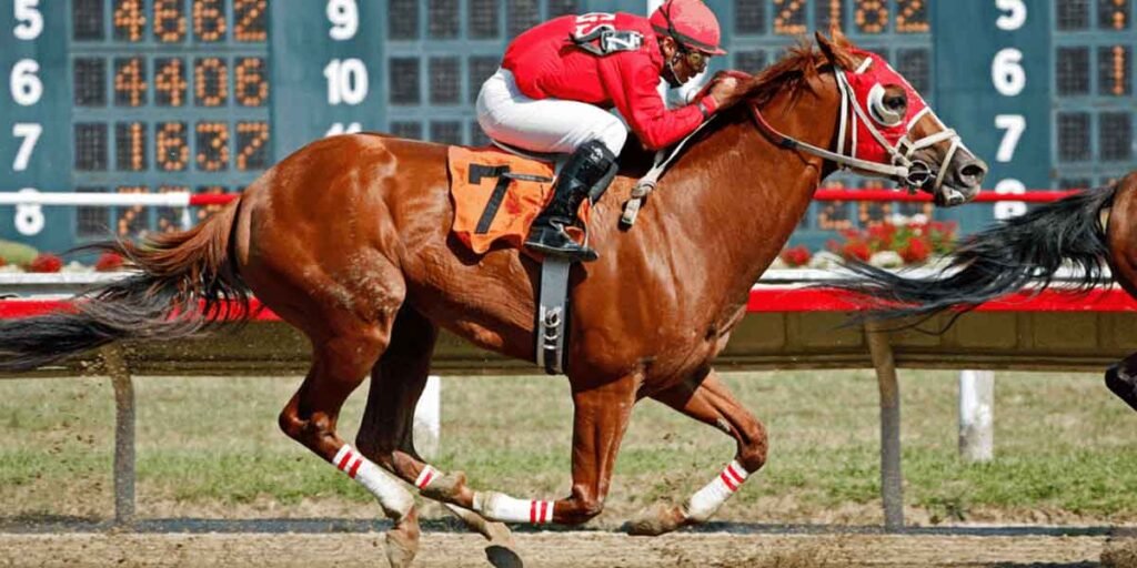 Kentucky Derby 101: What to Know Before the Gates Open