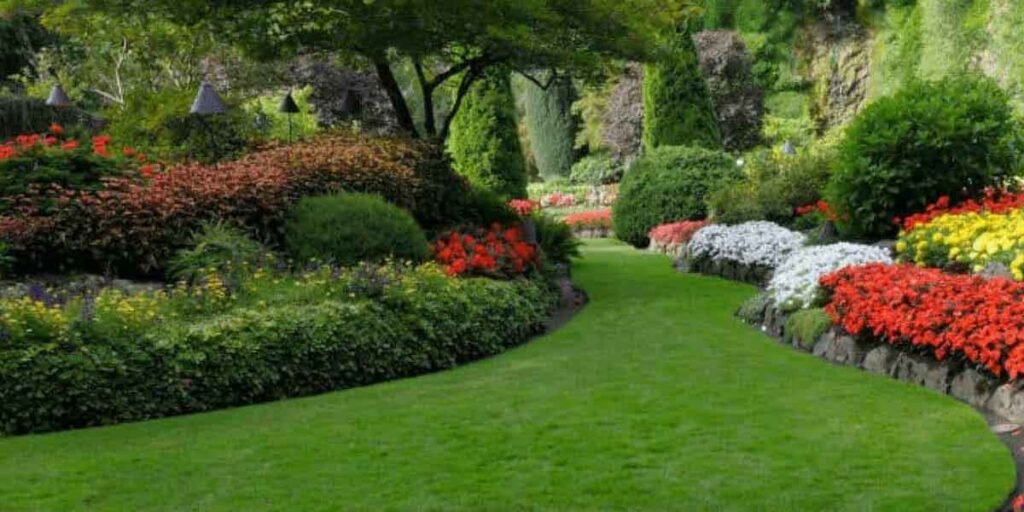 Landscaping Services: Transform Your Outdoor Space