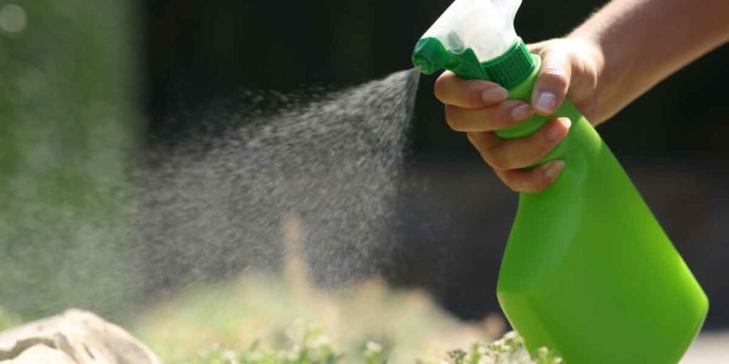 Sustainable Ways to Keep Your Garden and Home Pest-Free