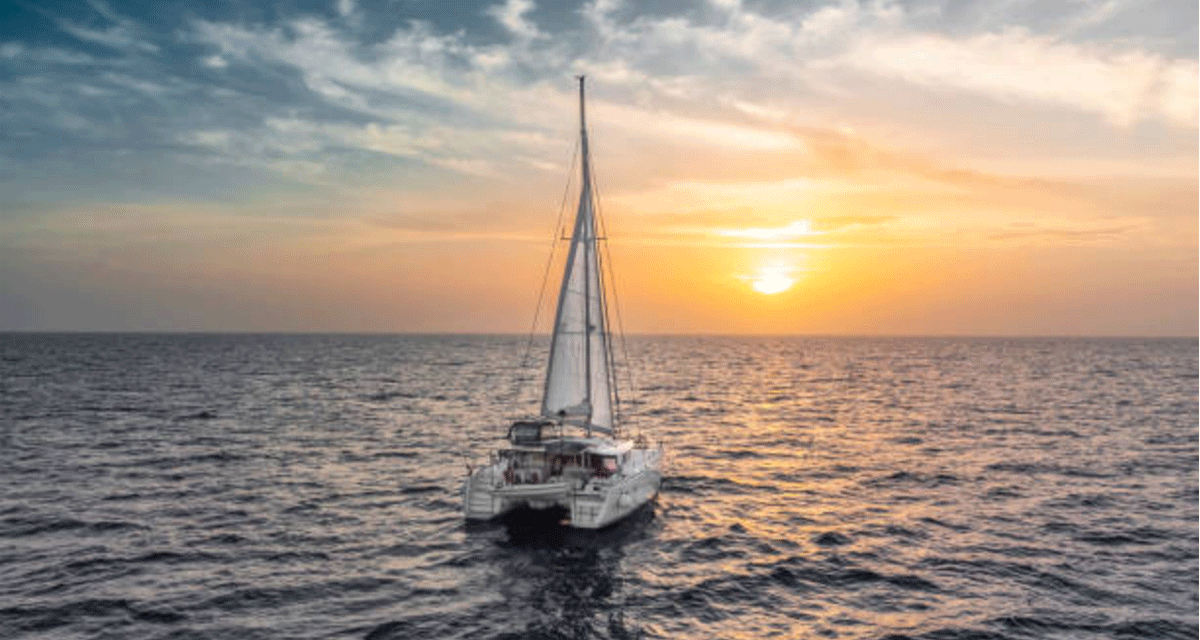 What Makes Afternoon Catamaran Sailing Tours an Unforgettable Experience