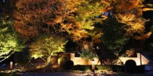 Why Low-Voltage LED Landscape Lighting Is the Eco-Smart Outdoor Choice