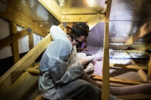 eco-friendly-attic-insulation-for-better-comfort-a-1