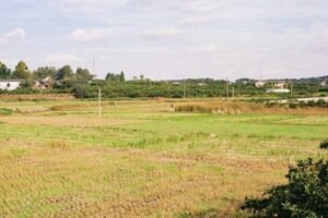 image-source-unsplash-1