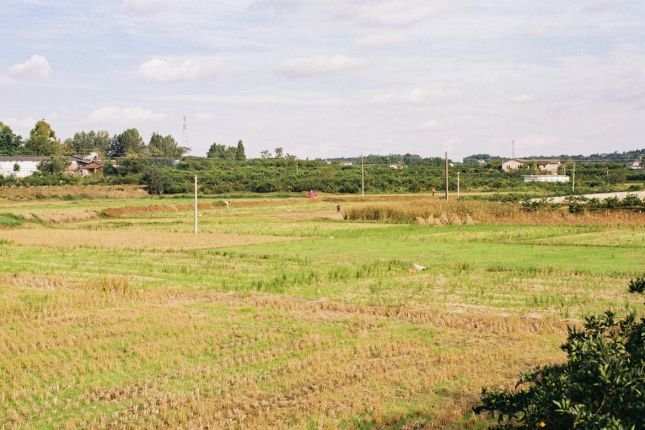 image-source-unsplash-1