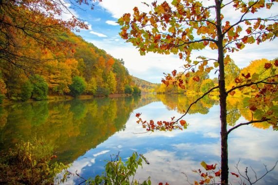 the-real-estate-value-of-living-in-well-planned-li-1