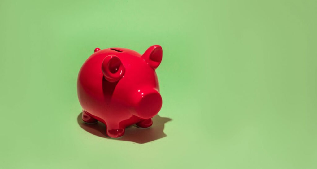 Financial Dysmorphia