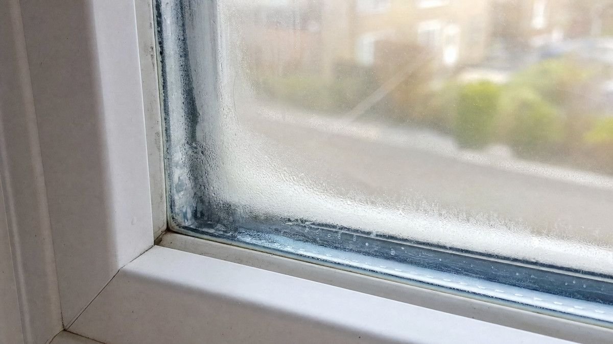 how-to-assess-the-condition-of-windows-and-doors-2