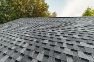 best-materials-and-options-for-asphalt-shingles-ty-1